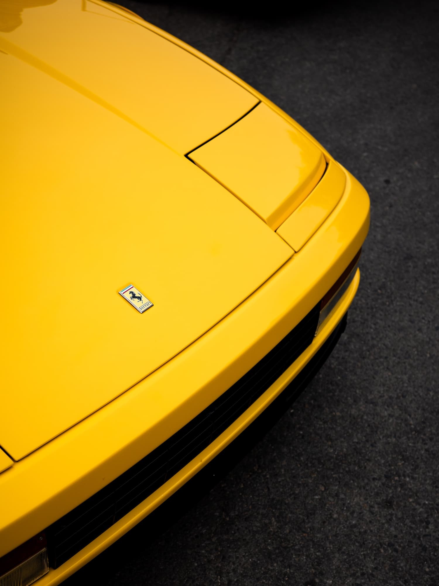 Yellow Horse